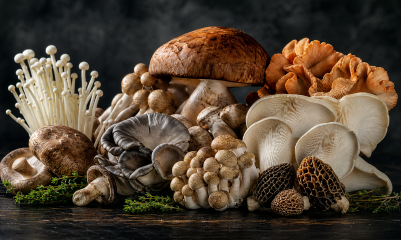 Mushroom Cooking Guide: From Rehydration to Table