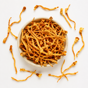 Cordyceps Flower