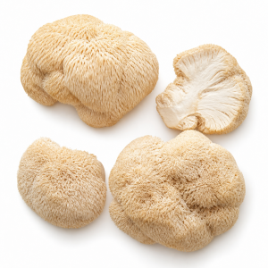 Lion's Mane