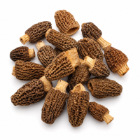 Morel