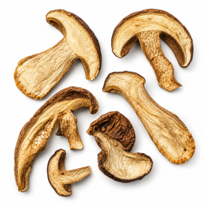 Porcini