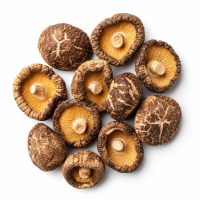 Shiitake